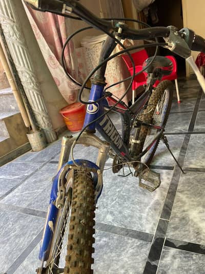 TRIGON BICYCLE