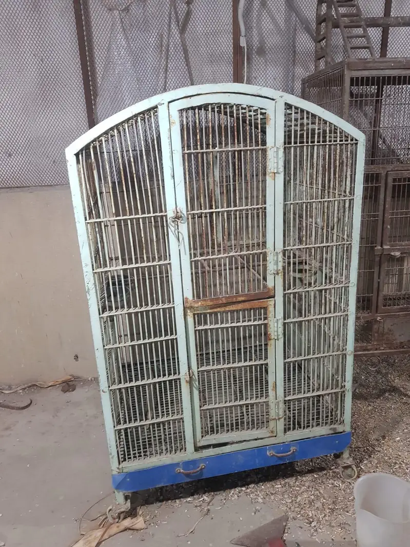 Grey Macaw Cages — photo 3