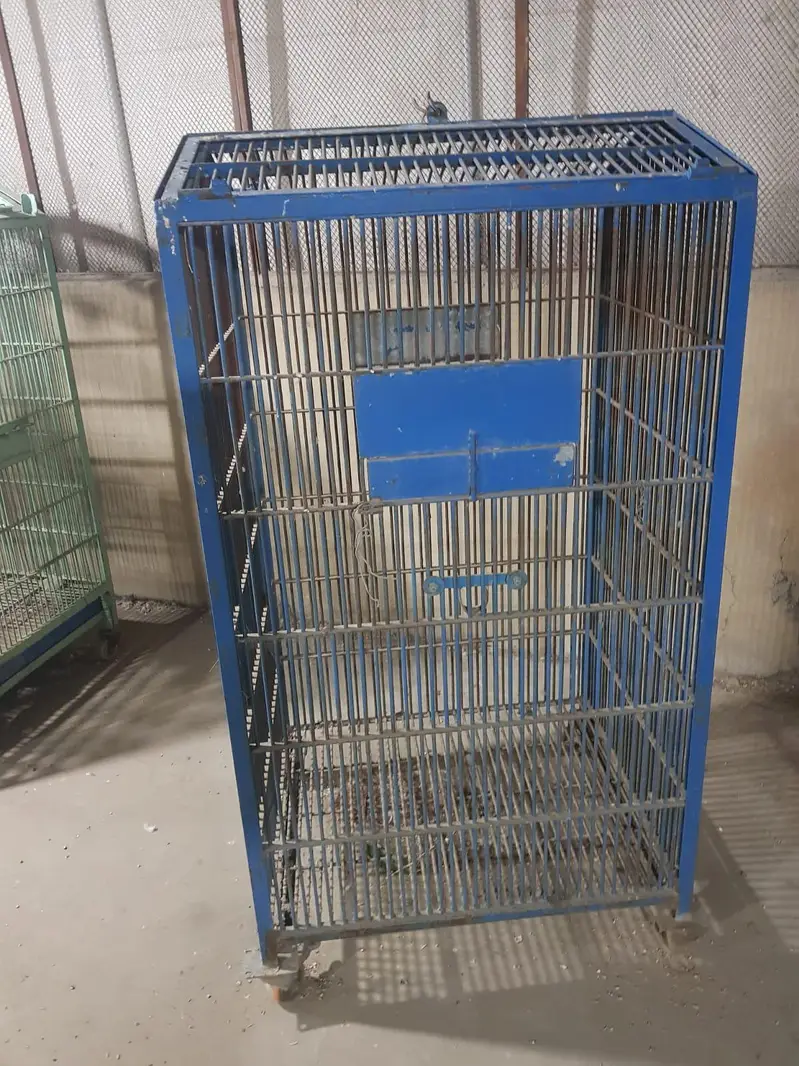 Grey Macaw Cages — photo 4