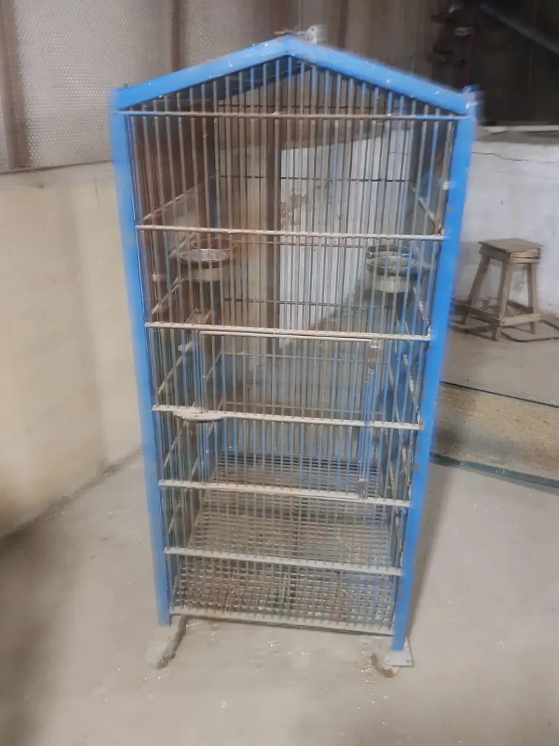 Grey Macaw Cages — photo 5