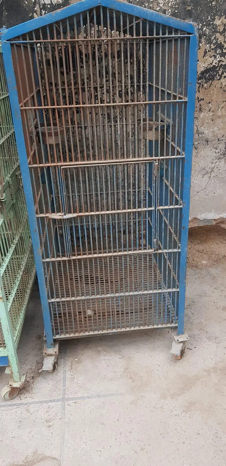 Grey Macaw Cages — photo 6