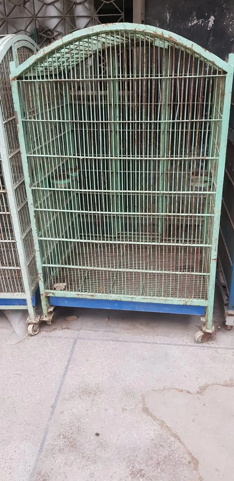 Grey Macaw Cages — photo 7
