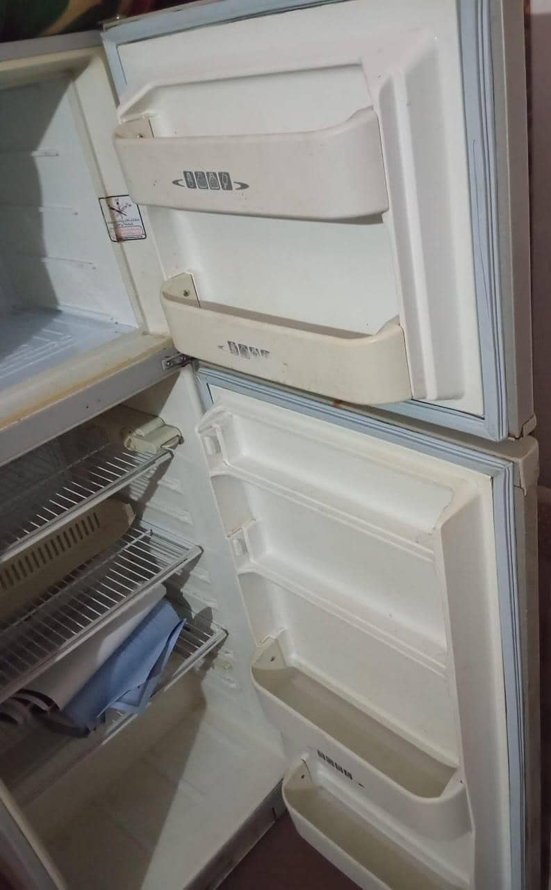 medium size fridge 2