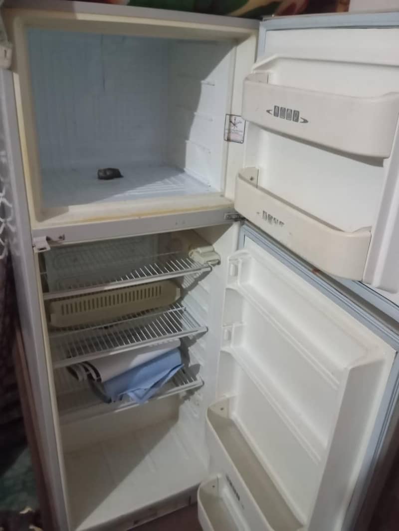 medium size fridge 3