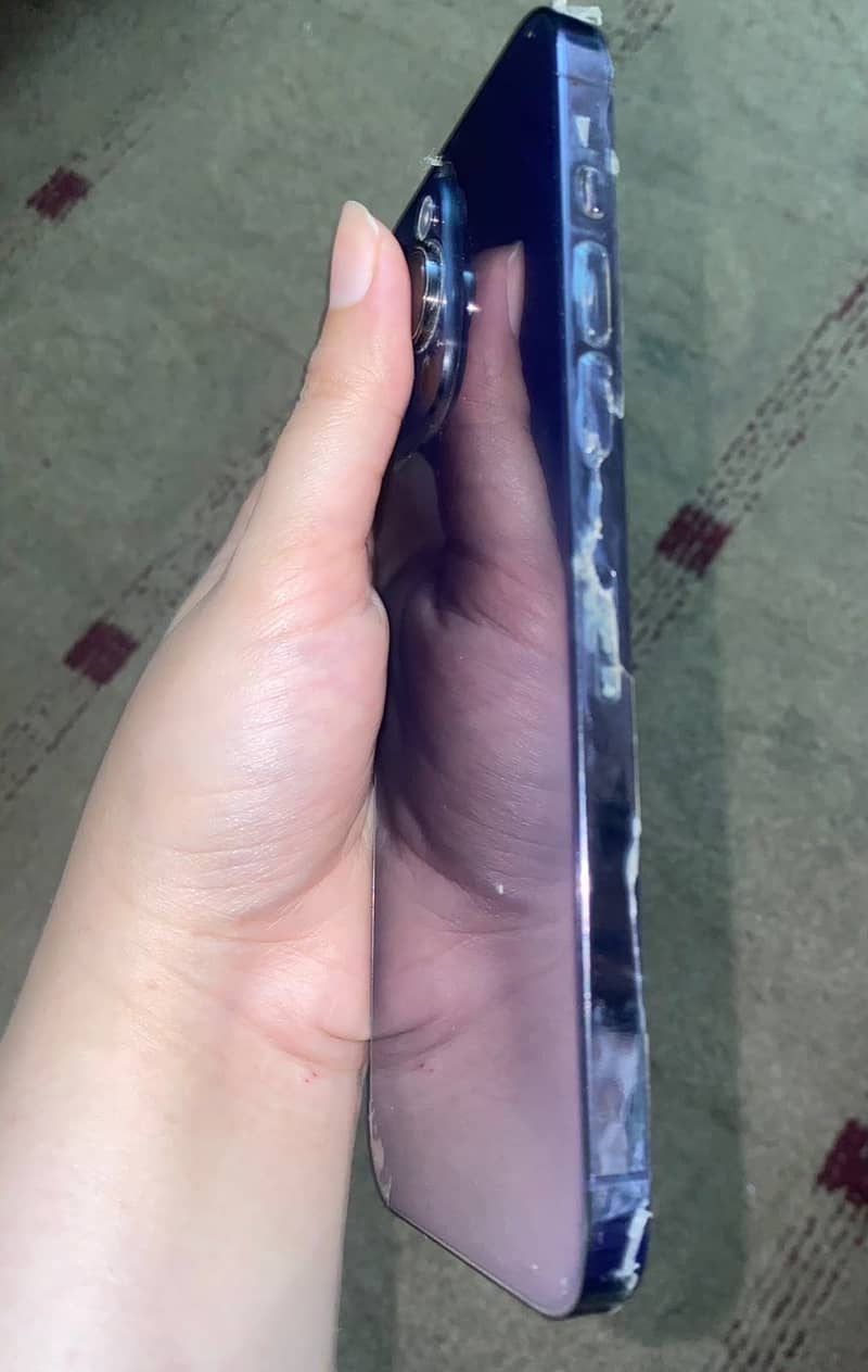 14 pro max 1