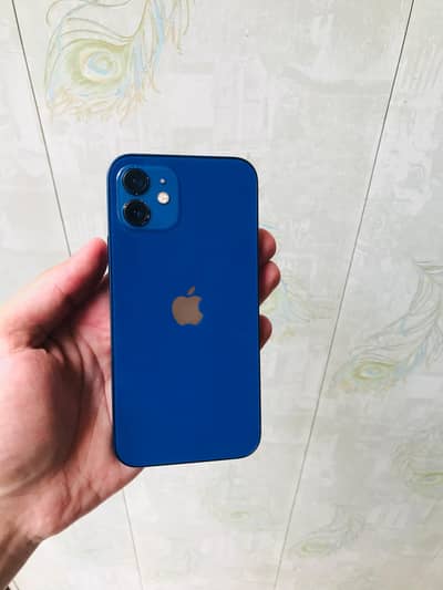 iPhone 12