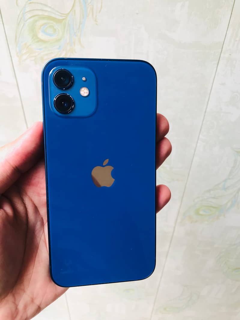 iPhone 12 1