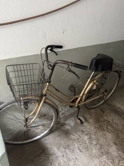 Lapis bicycle.