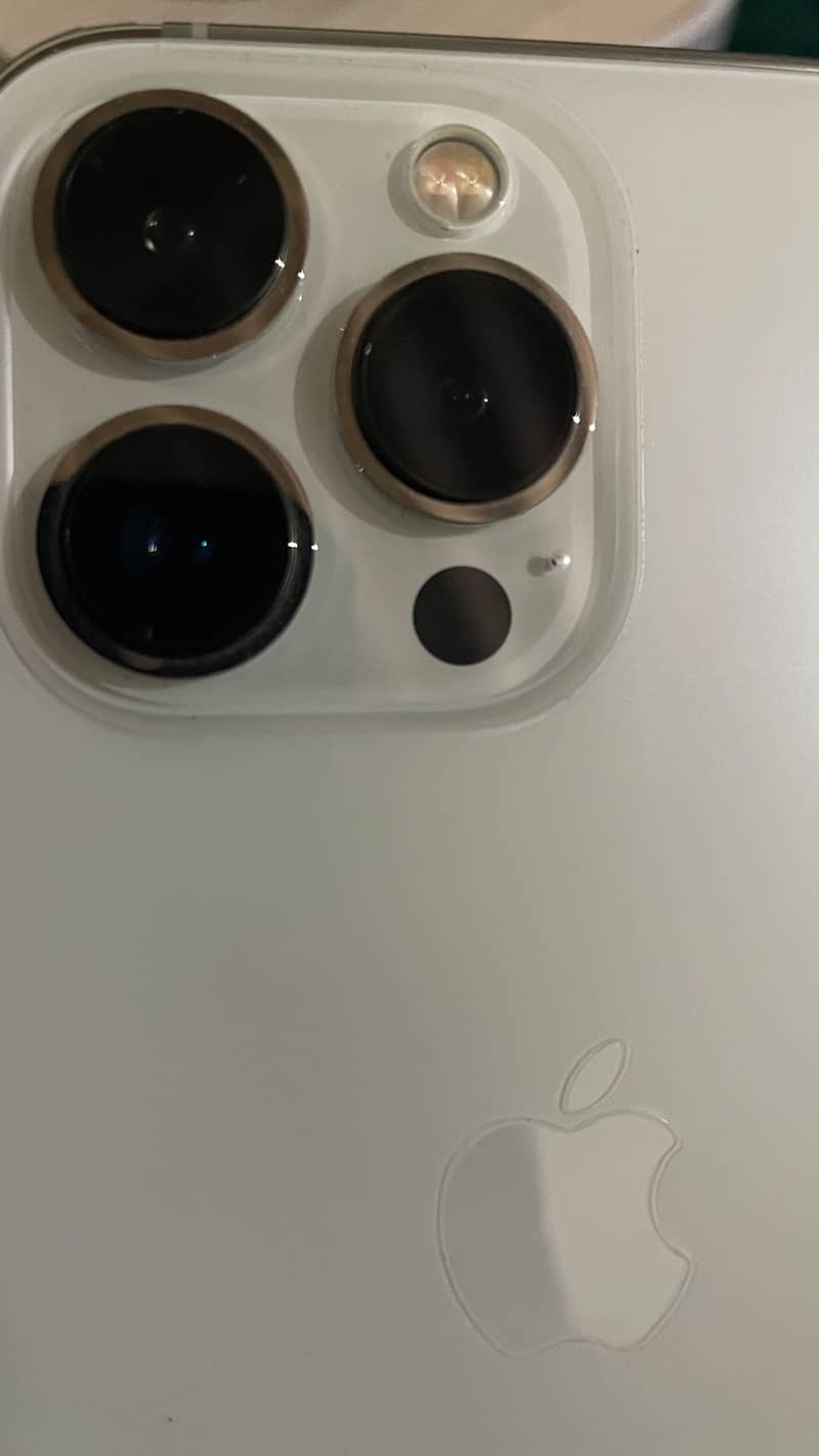 Apple iPhone 13 Pro 1