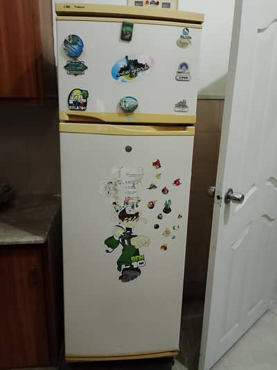 Refrigerator neat and clean