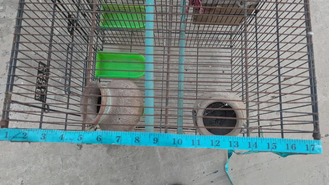 Hen cage — photo 2