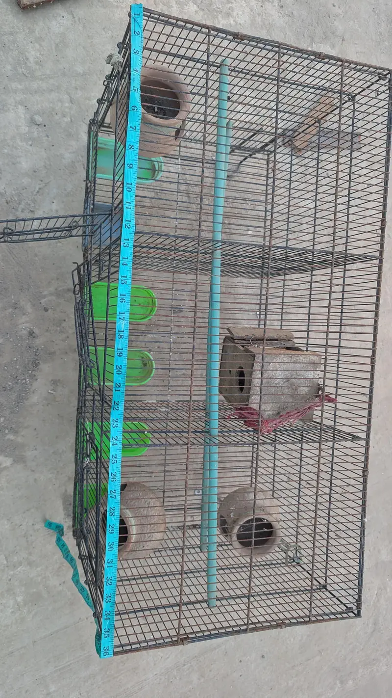Hen cage — photo 3