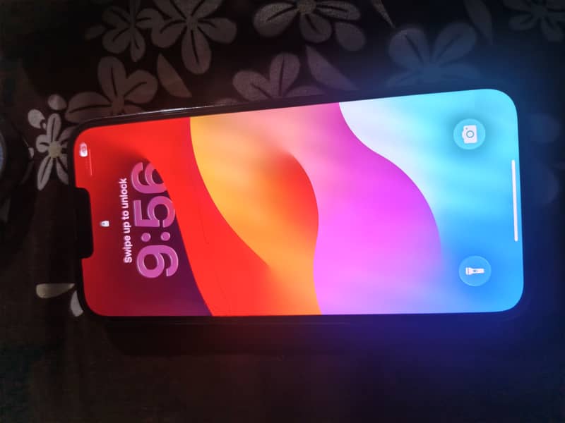 Apple iPhone 13 Pro Max 2