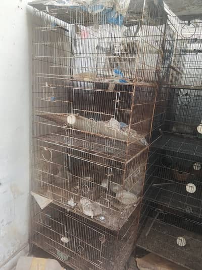 Birds cage with wooden box