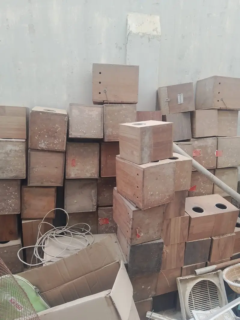 Birds cage with wooden box — photo 2