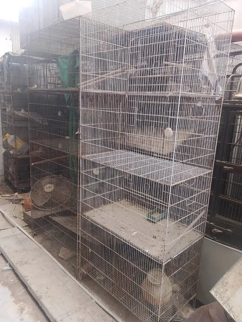 Birds cage with wooden box — photo 3