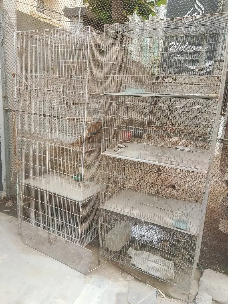 Birds cage with wooden box — photo 5