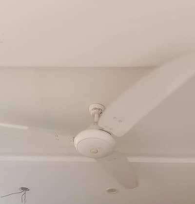 Ceiling fans for sale urgent sale