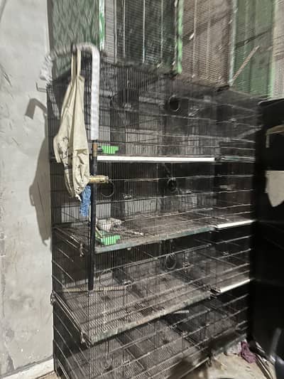 Master Cage