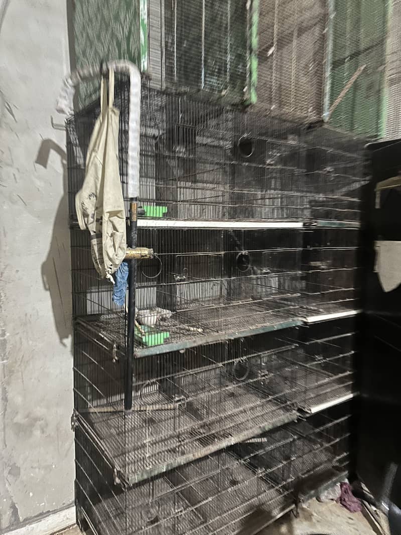 Master Cage 0