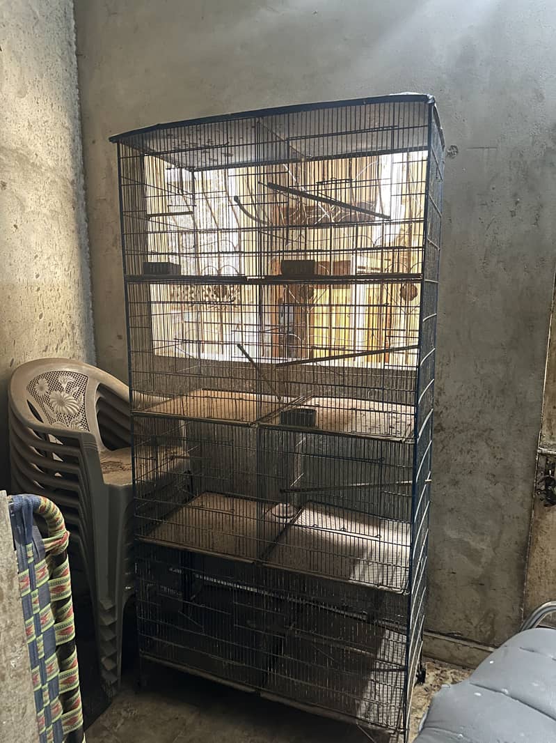Master Cage 1