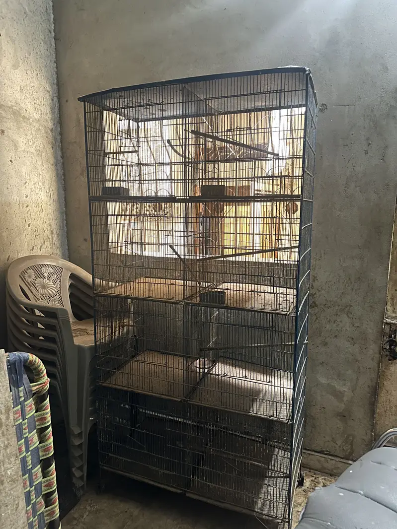 Master Cage — photo 2