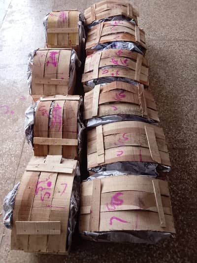 Chaunsa Mangoes For Sale (10-12 Kg Peti)