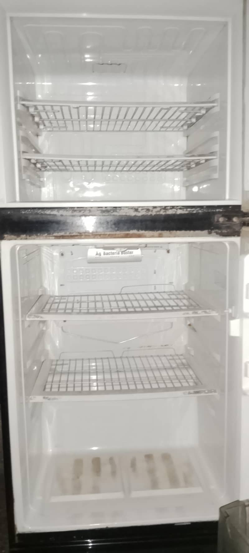 Condition New 3