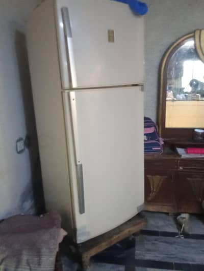full jumbo size fridge