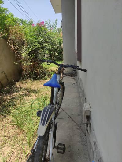 Cycle for sale