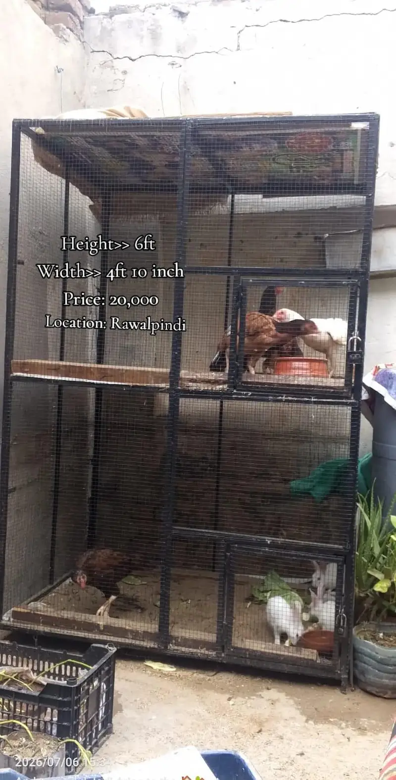 all animals Cage — photo 2