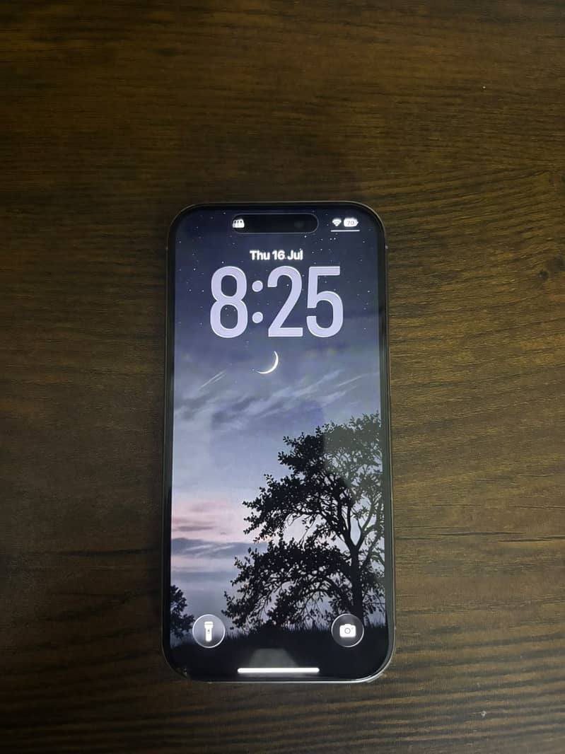 Apple iPhone 16 Pro 1