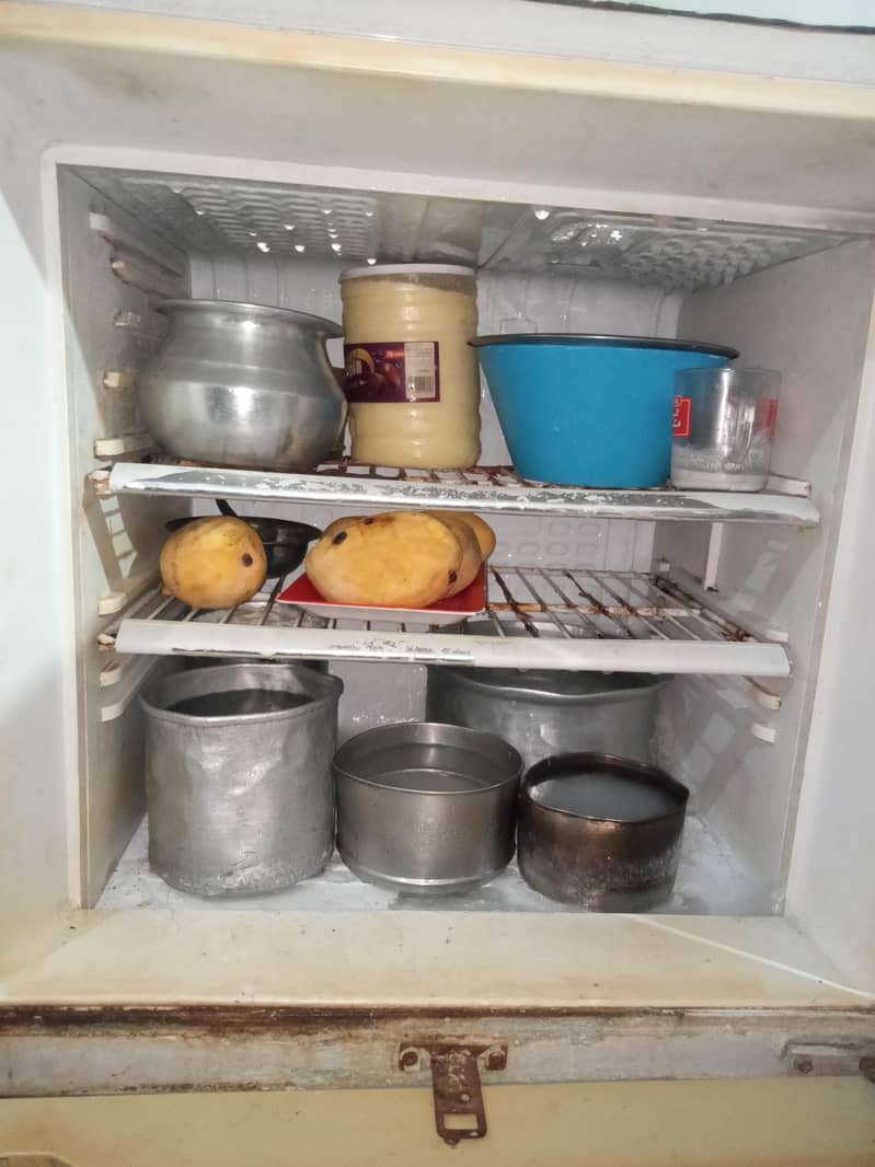 refrigerator 3