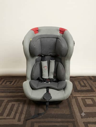 Tinnies car seat