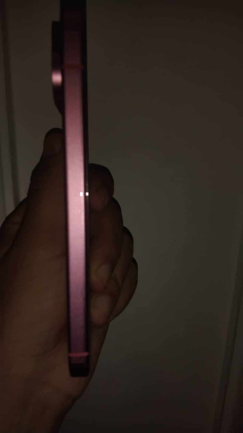 Google Pixel 9 1