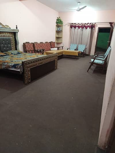 use carpet