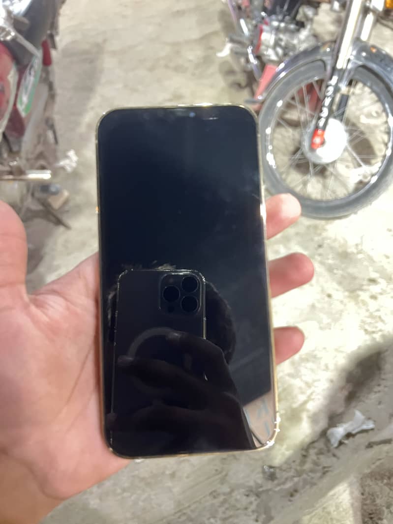 iPhone 12 Pro Max 1