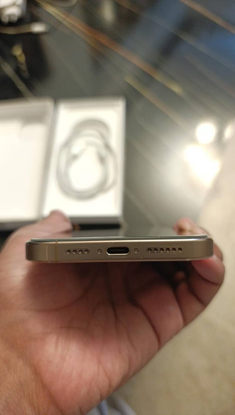Apple iPhone 16 Pro Max 1
