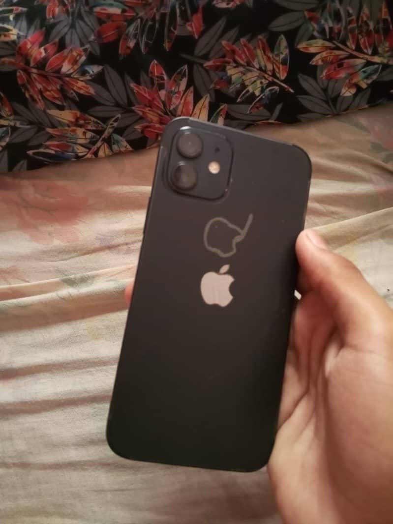 IPhone 12 1