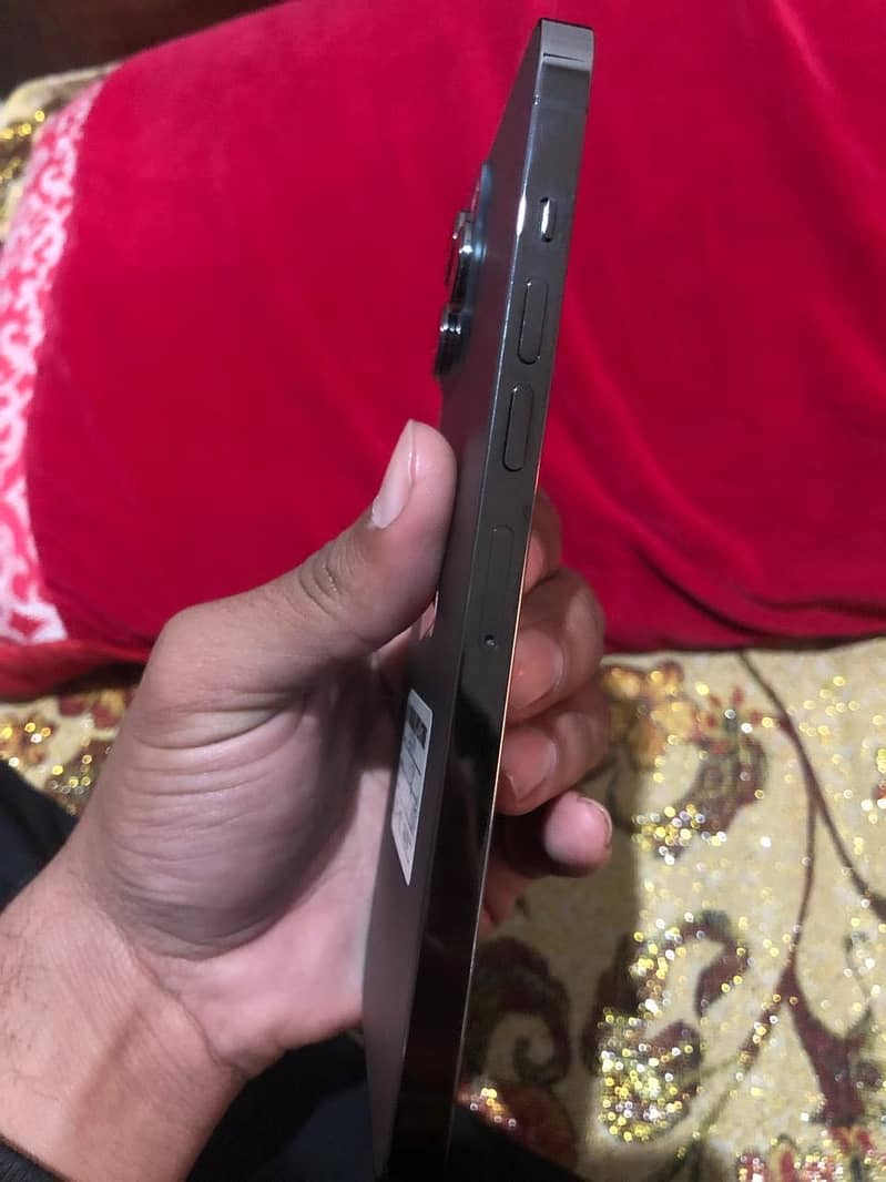 Apple iPhone 13 Pro Max 2