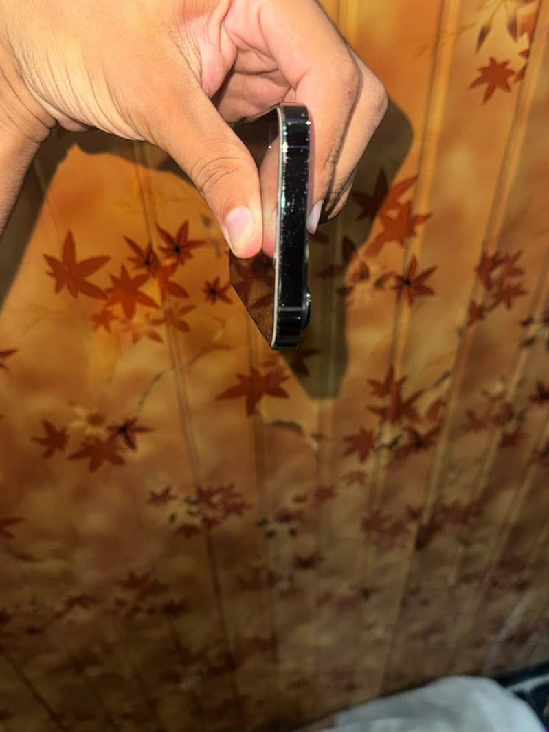 Apple iPhone 13 Pro 2
