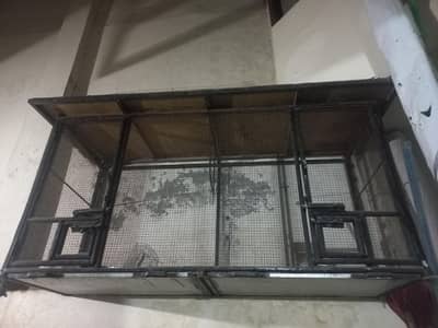 Bird Cage