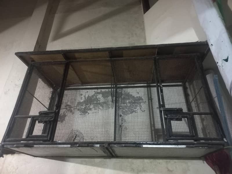Bird Cage 0