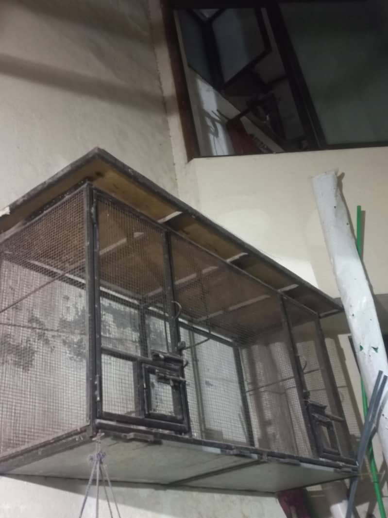Bird Cage 1