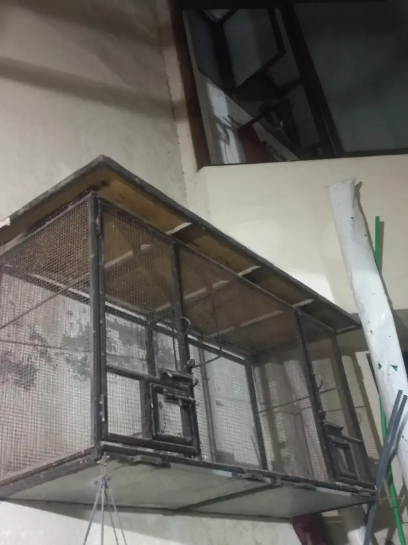 Bird Cage — photo 2