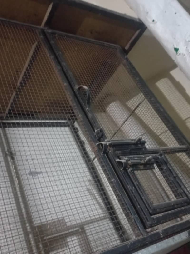 Bird Cage 3