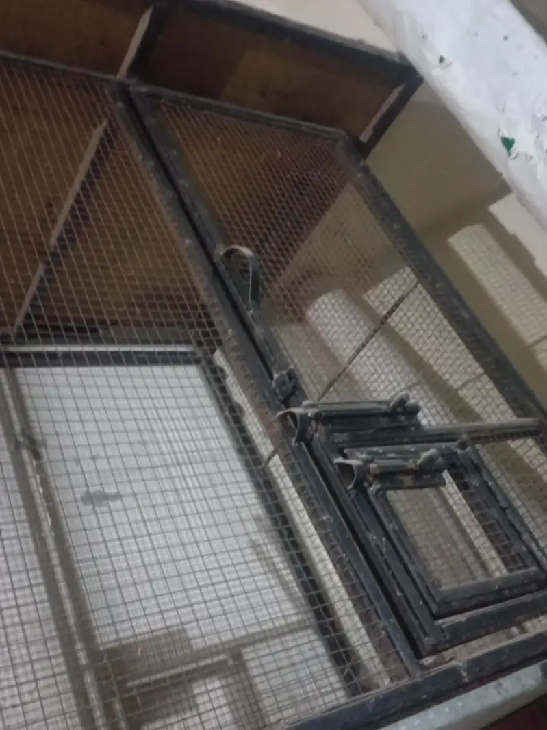 Bird Cage — photo 4