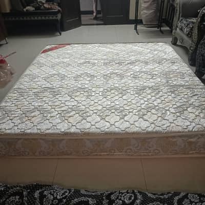 Master Sleep Well Plus Mattress (8 Inch Size)