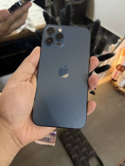 IPhone 12 Pro Pta approved