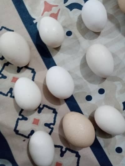 poure dasi eggs